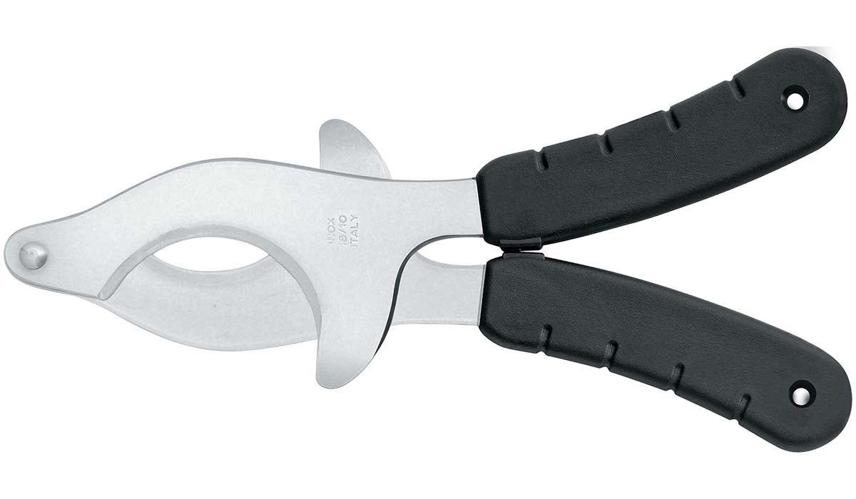 Forbice inox per ricci di mare articoli acciaio inox