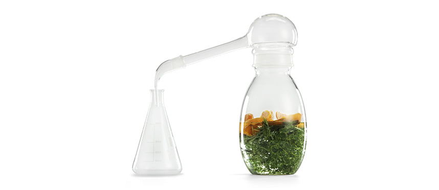cirano distillatore per acque aromatizzate lt 5 cm 36x18,5 h 40 con beuta cl 50 Ø cm 10,5 h 18