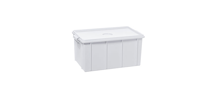 cassetta con coperchio cm 62x40 h 31