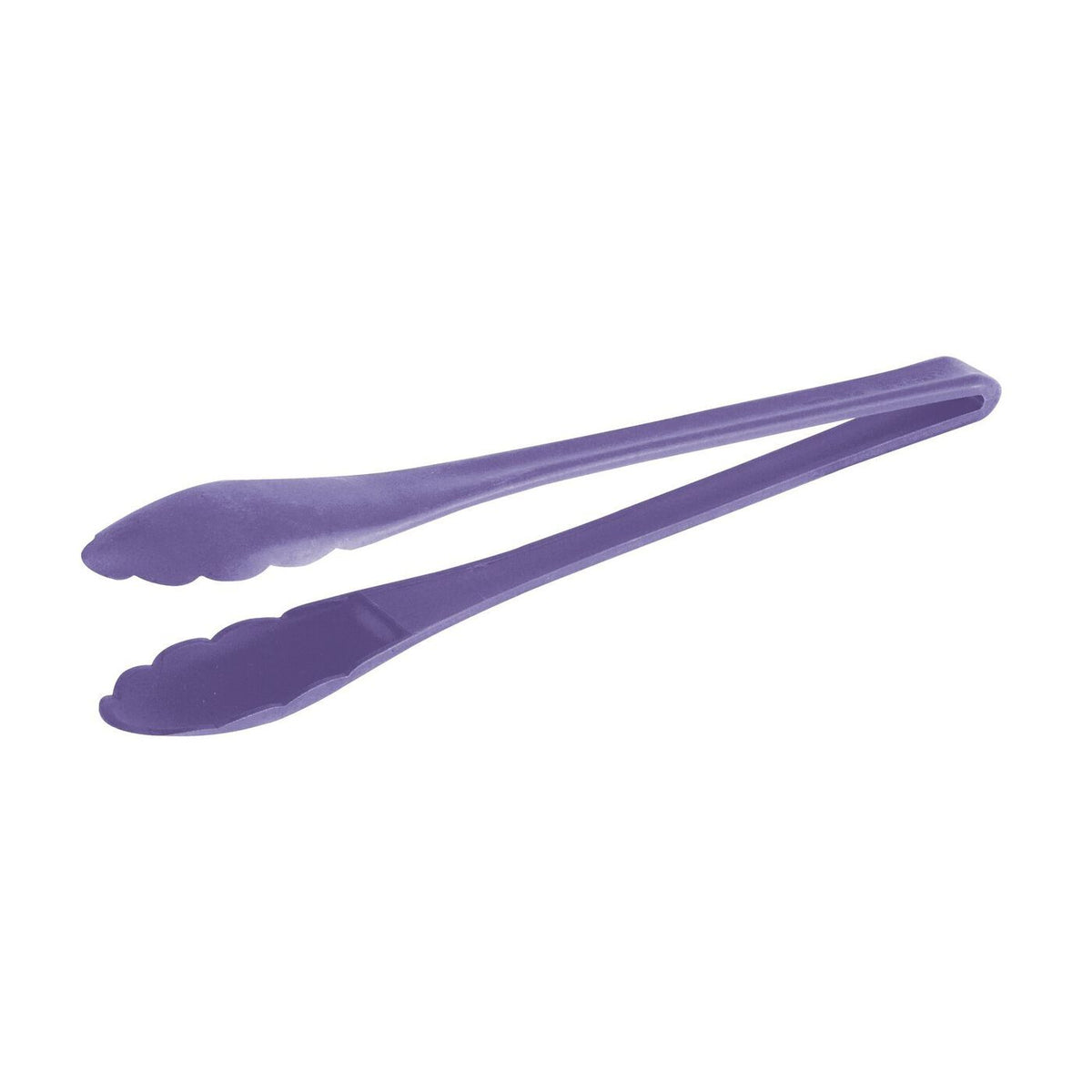 Molla universale 25 cm in PA+ viola Paderno - 12930V51