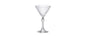 AMERICA '20S COPPA MARTINI 15,5 Cl