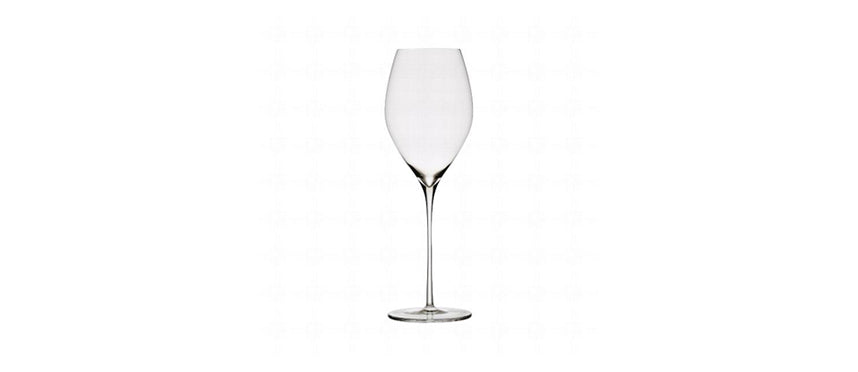 calice champagne plume 38,5 cl professionale horeca
