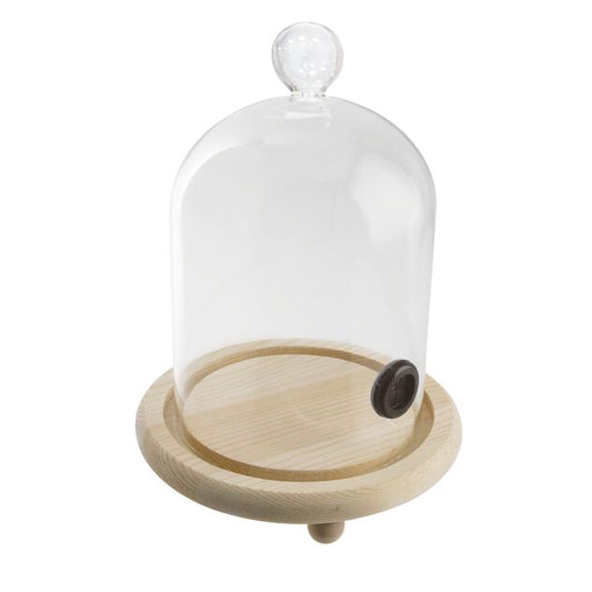 Smoker cloche glass wood cm12x16