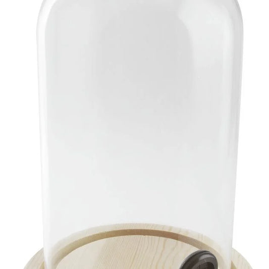 Cloche per affumicatore vetro legno cm12x11