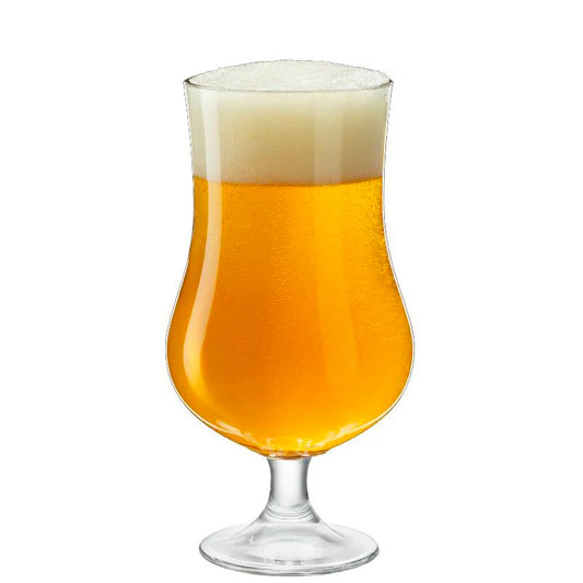 Bicchiere birra ale 42,5 cl in vetro professionale