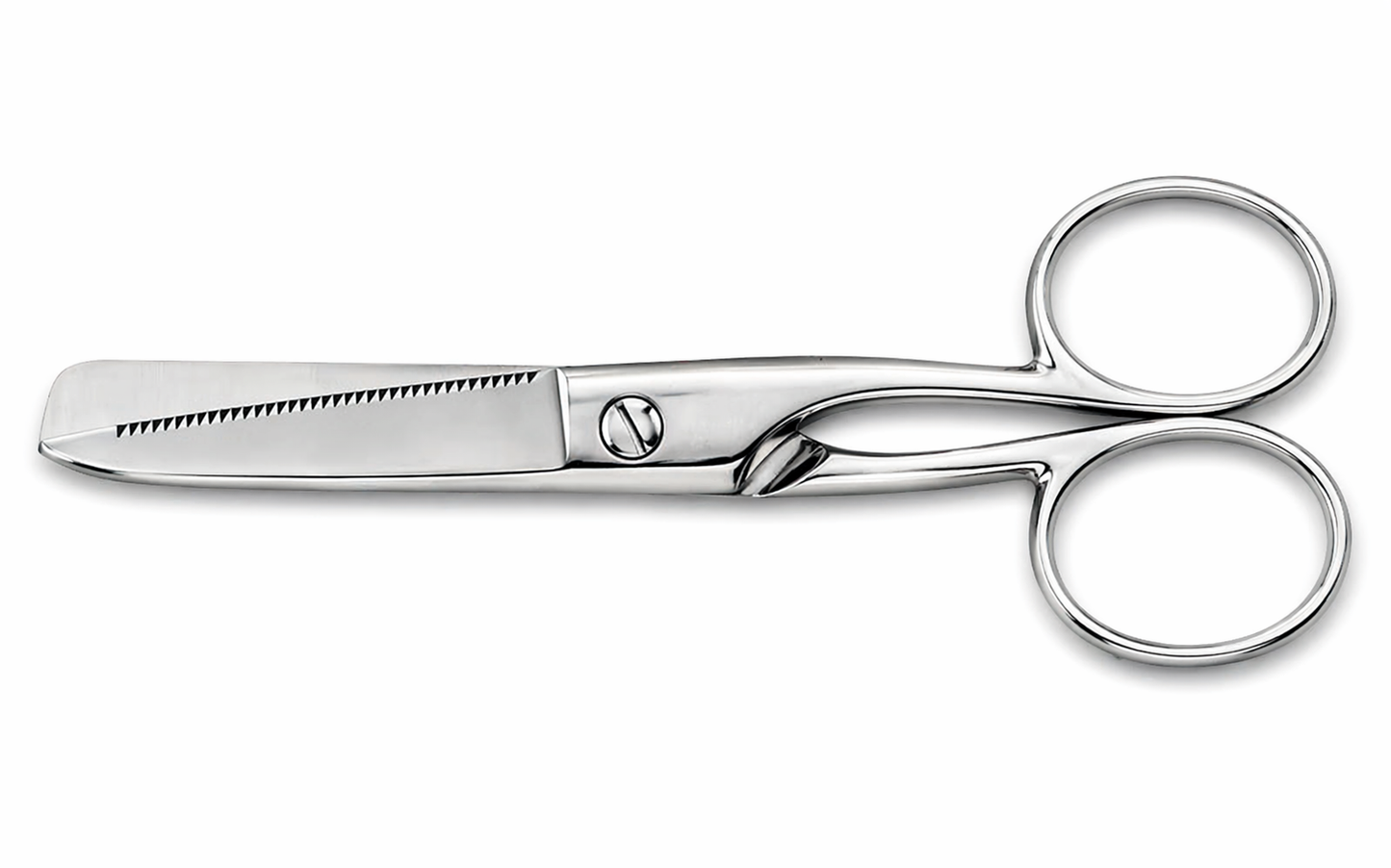Forbice inox per pesce