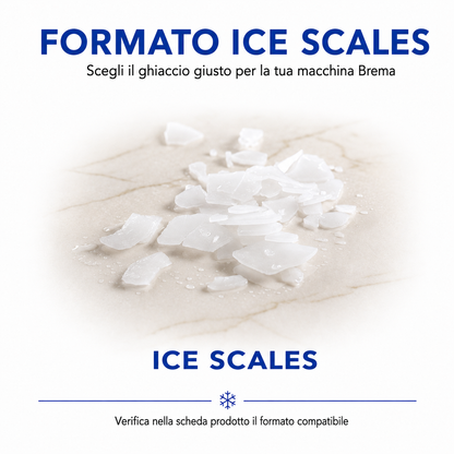 Ice Scales Brema – formato ghiaccio prodotto dalla macchina