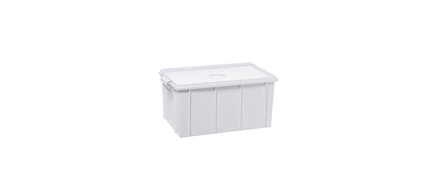Cassetta con coperchio cm 40x30 h 22